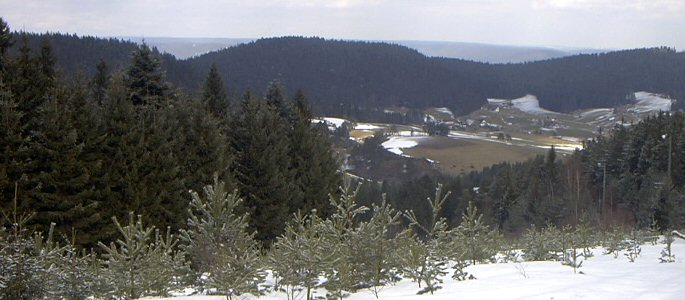 Blick vom Mosswaldkopf